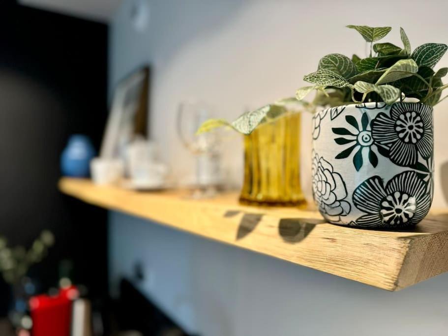 Art & High Studio Z Parkingiem Podziemnym Krynica Zdroj Ngoại thất bức ảnh